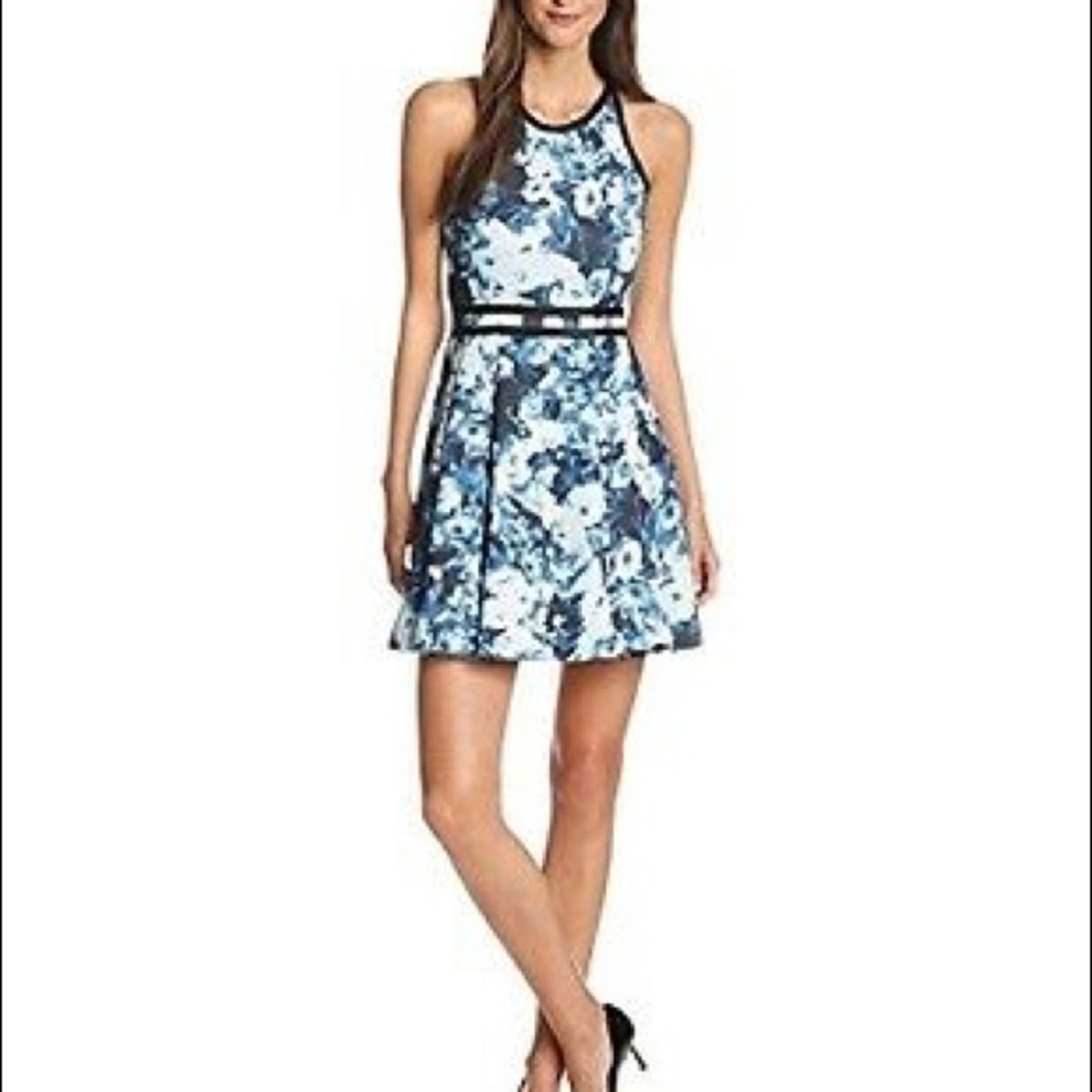 Parker Emmy fit and flare dress xs